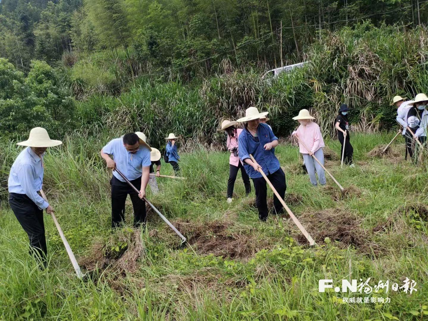 闽清县省璜镇玉水村绘就乡村发展新图景