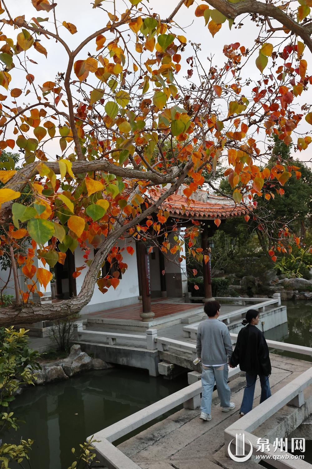 今明两天泉州市多云到晴 白天暖意渐浓 早晚寒意未消