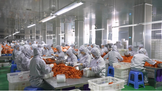 【通稿】&ldquo;小地瓜&rdquo;变&ldquo;大产业&rdquo;：福建连城县全方位推动&ldquo;地瓜经济&rdquo;472