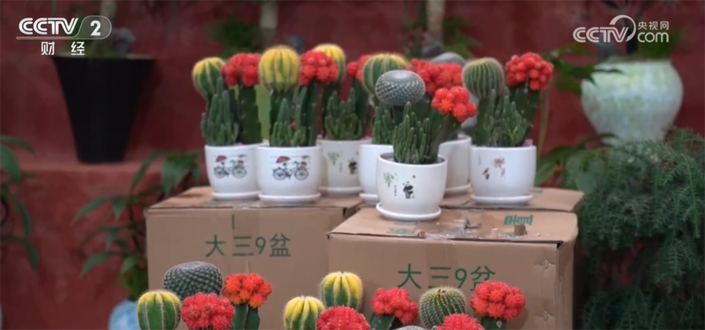 
北大第六医院黄牛号贩子票贩子代网上预约代挂号电话进口水果量升价降、年宵花卉供销两旺 节前消费市场“琳琅满目”货足价稳