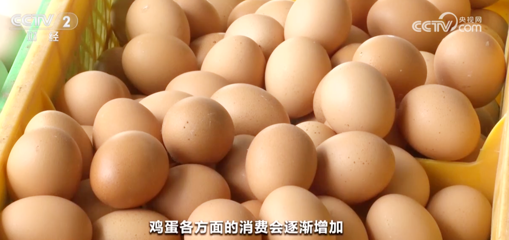 
陕西省人民医院黄牛号贩子票贩子代网上预约代挂号电话节假日备货拉动下游市场消费需求 全国鸡蛋价格出现反弹