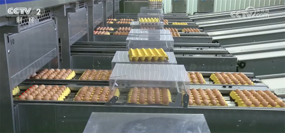 
陕西省人民医院黄牛号贩子票贩子代网上预约代挂号电话节假日备货拉动下游市场消费需求 全国鸡蛋价格出现反弹