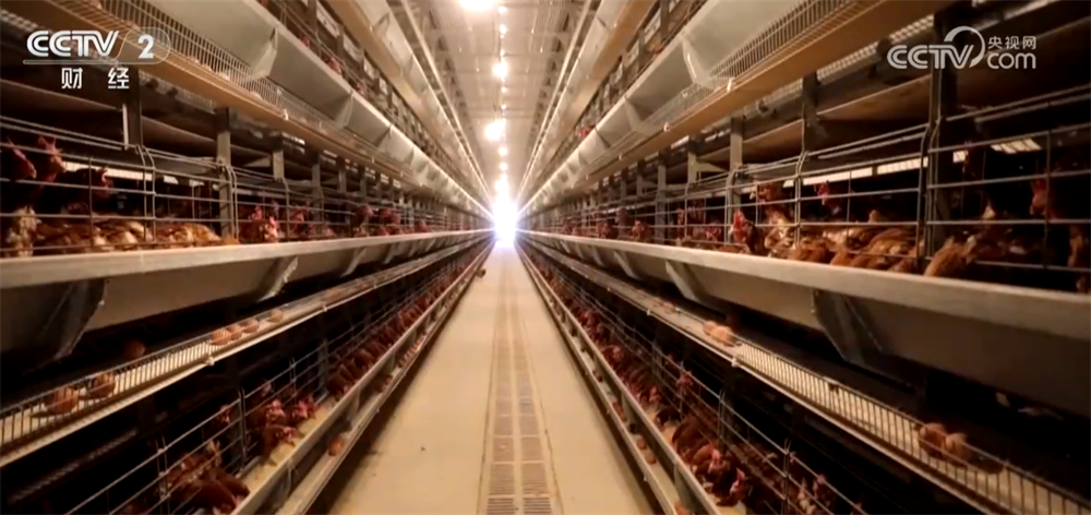 
陕西省人民医院黄牛号贩子票贩子代网上预约代挂号电话节假日备货拉动下游市场消费需求 全国鸡蛋价格出现反弹