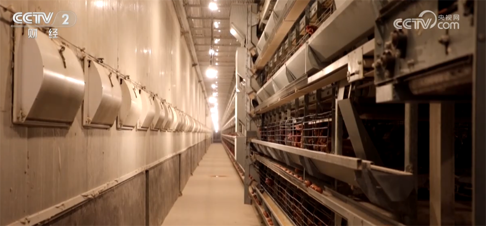 
陕西省人民医院黄牛号贩子票贩子代网上预约代挂号电话节假日备货拉动下游市场消费需求 全国鸡蛋价格出现反弹