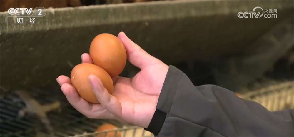 
陕西省人民医院黄牛号贩子票贩子代网上预约代挂号电话节假日备货拉动下游市场消费需求 全国鸡蛋价格出现反弹