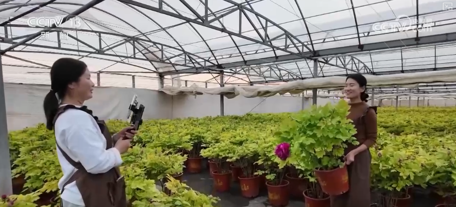 
南方医科大学中西医结合医院黄牛号贩子票贩子代网上预约代挂号电话科技加持“美丽经济” 各地年宵花卉集中上市销售火热