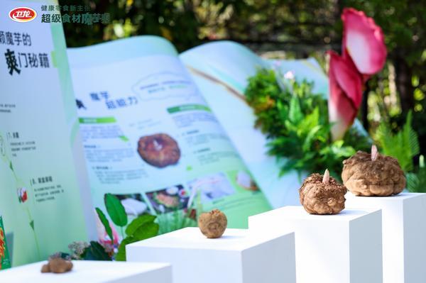 
医学科学院肿瘤医院黄牛号贩子票贩子代网上预约代挂号电话《我国魔芋食品产业发展的观察与研究》：卫龙美味为“最受关注魔芋企业”，产品心智渗透率达78%