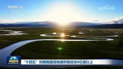 
医院黄牛号贩子票贩子代网上预约代挂号电话“十四五”时期我国湿地面积稳