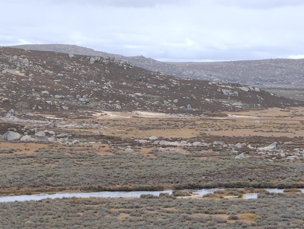 登至4300米！考古刷新青藏高原东部人类迁徙纪录