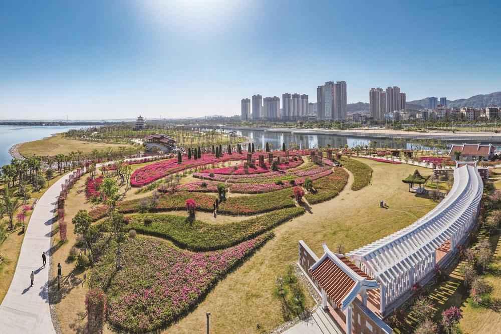 厦门海沧：五年蝶变，高质量发展多了“诗意”