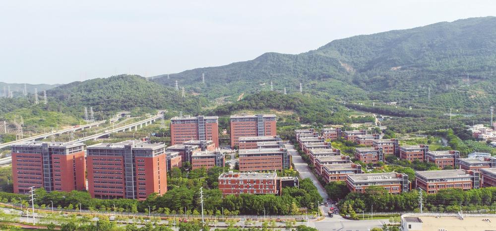 厦门海沧：五年蝶变，高质量发展多了“诗意”