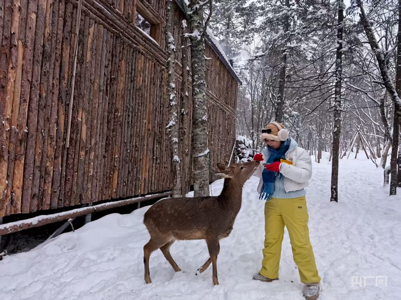 
南方医科大学南方医院刘思德张亚厉候金林周元平刘滢冯传波吕英黄牛挂号电话“冰雪+”点亮消费新图景 “冷资源”持续撬动“热经济”