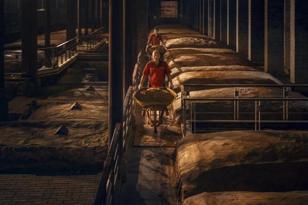 
广州医科大学附属口腔医院黄牛号贩子票贩子代网上预约代挂号电话“双国保酿造”，水井坊·井18年份浓香如何续写“自我超越”之路？