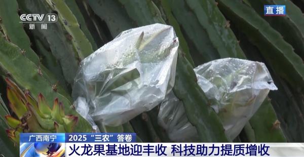 
沈阳陆军医院黄牛号贩子票贩子代网上预约代挂号电话中国农业发展向“新”而行 科技助力提质增收