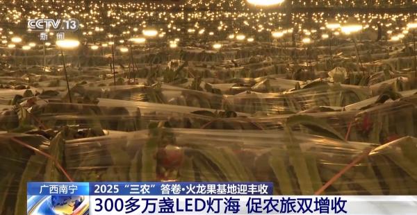 
沈阳陆军医院黄牛号贩子票贩子代网上预约代挂号电话中国农业发展向“新”而行 科技助力提质增收