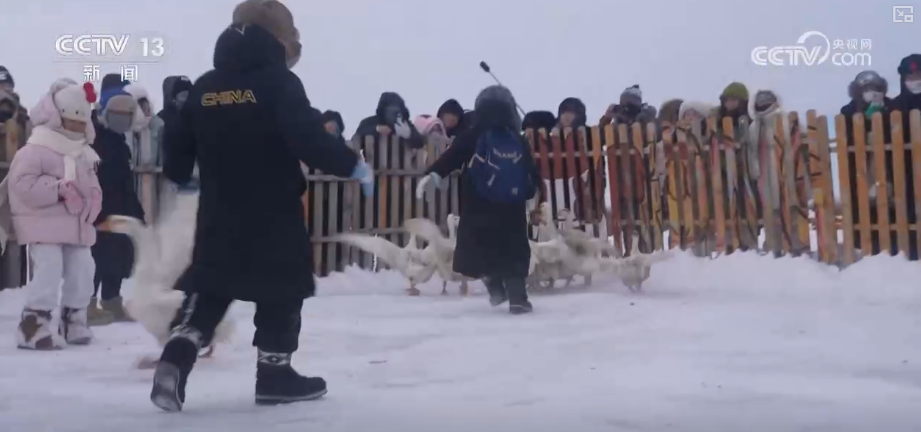 
天津中医药大学二附院黄牛号贩子票贩子代网上预约代挂号电话“冷”赛道激发产业发展“热”活力 “冰雪+”掀起冬季消费新热潮
