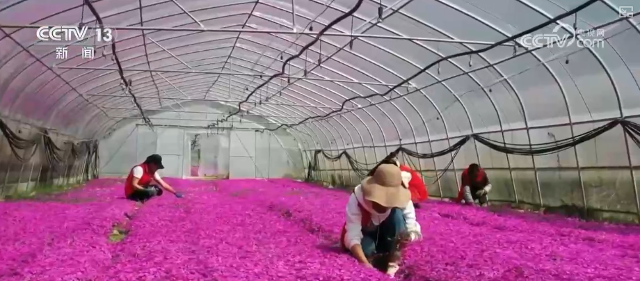 
陕西省肿瘤医院黄牛号贩子票贩子代网上预约代挂号电话展望2026年！扩内需、优结构、增动能 积极财政政策“组合拳”护航经济起好步、开好局