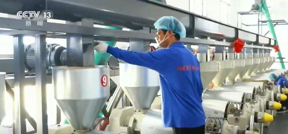 
西安各大医院黄牛挂号电话元旦假期“米袋子”“油瓶子”“菜篮子”供应物丰价稳、市场购销两旺