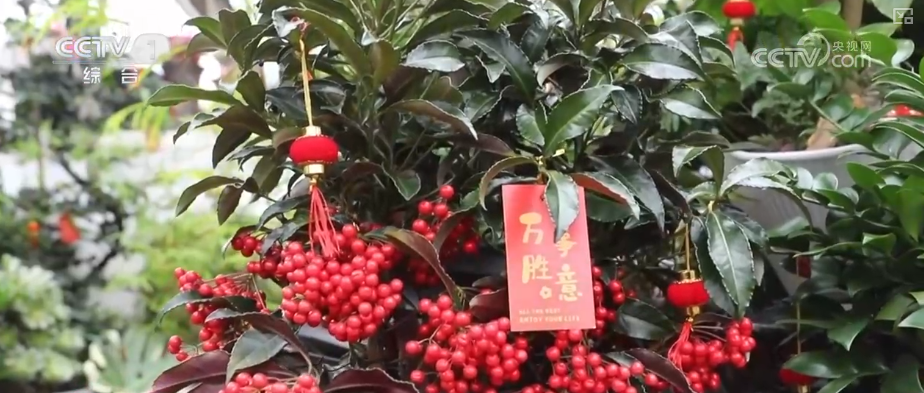 
中国中医科学院广安门医院花宝金关念波郭永红陈瑞雪杜炳奎杨宗艳张宗岐黄牛挂号电话“南花北运”锁鲜达 辞旧迎新活力十足 “鲜花+”变身消费“新宠”激活经济新引擎