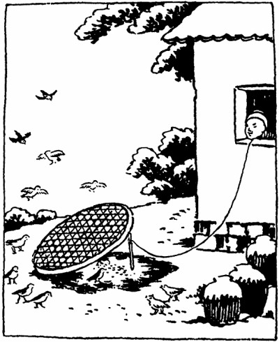 光明日报发表郑丽霞文章：博物书写的本真性追求