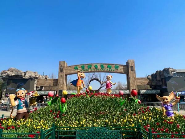 
陕西省结核病防治院黄牛号贩子票贩子代网上预约代挂号电话潮涌新国门，文旅兴榆垡——北京大兴国际旅游度假区扬帆起航