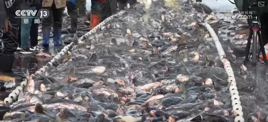 
上海精神卫生中心黄牛号贩子票贩子代网上预约代挂号电话“顶流”“新宠”带热节日消费 新品争相上市购销两旺推高跨年经济热力