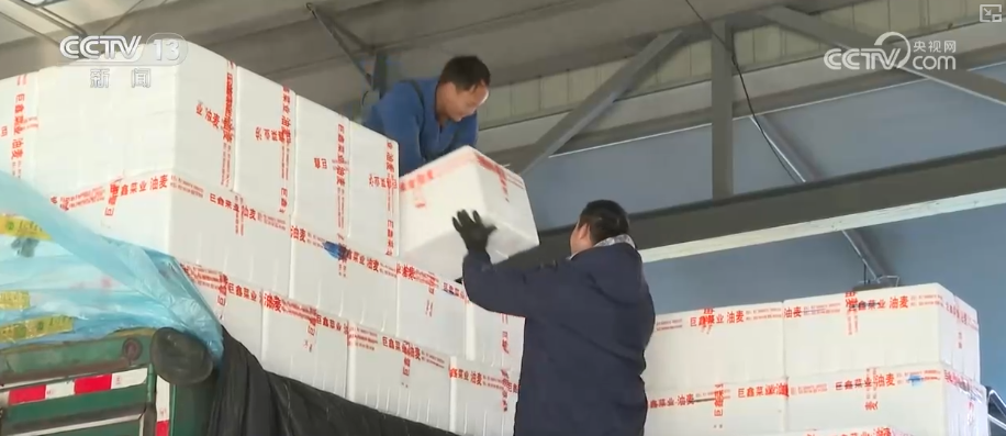 
上海精神卫生中心黄牛号贩子票贩子代网上预约代挂号电话“顶流”“新宠”带热节日消费 新品争相上市购销两旺推高跨年经济热力