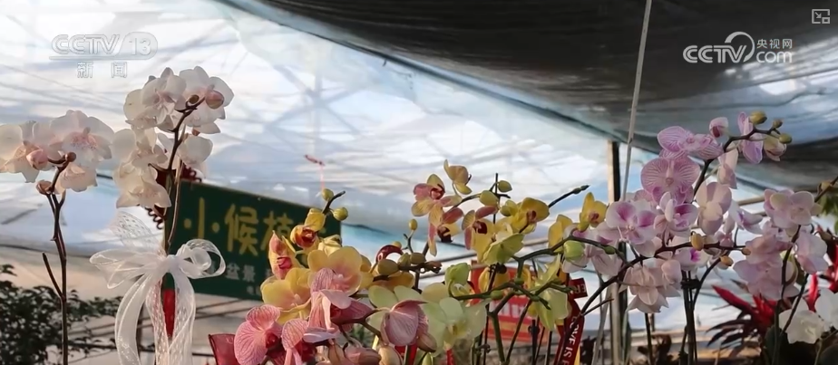 
上海精神卫生中心黄牛号贩子票贩子代网上预约代挂号电话“顶流”“新宠”带热节日消费 新品争相上市购销两旺推高跨年经济热力