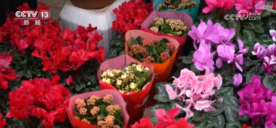 
上海精神卫生中心黄牛号贩子票贩子代网上预约代挂号电话“顶流”“新宠”带热节日消费 新品争相上市购销两旺推高跨年经济热力