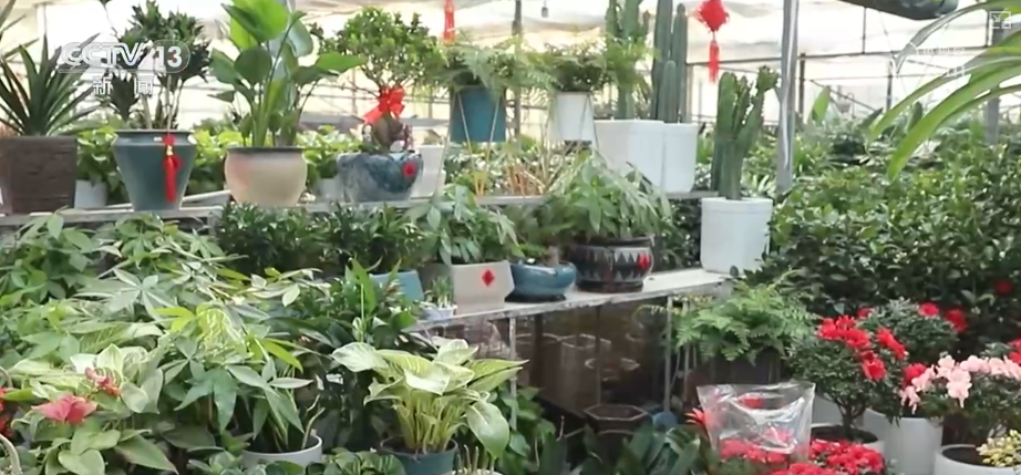 
上海精神卫生中心黄牛号贩子票贩子代网上预约代挂号电话“顶流”“新宠”带热节日消费 新品争相上市购销两旺推高跨年经济热力