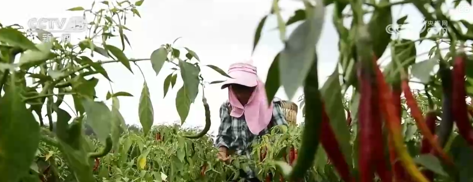 
山东省立医院张海清孙香兰曲华伟宁豪刘军卢俊吴亚光张鹏王正军黄牛挂号电话消费、出入境游、冰雪游，热热热！假日氛围拉满 多领域掀热潮释放经济“热”活力