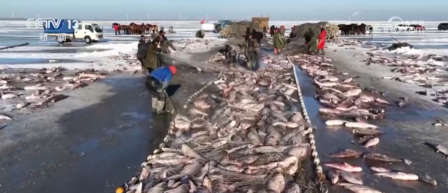 
山东省立医院张海清孙香兰曲华伟宁豪刘军卢俊吴亚光张鹏王正军黄牛挂号电话消费、出入境游、冰雪游，热热热！假日氛围拉满 多领域掀热潮释放经济“热”活力