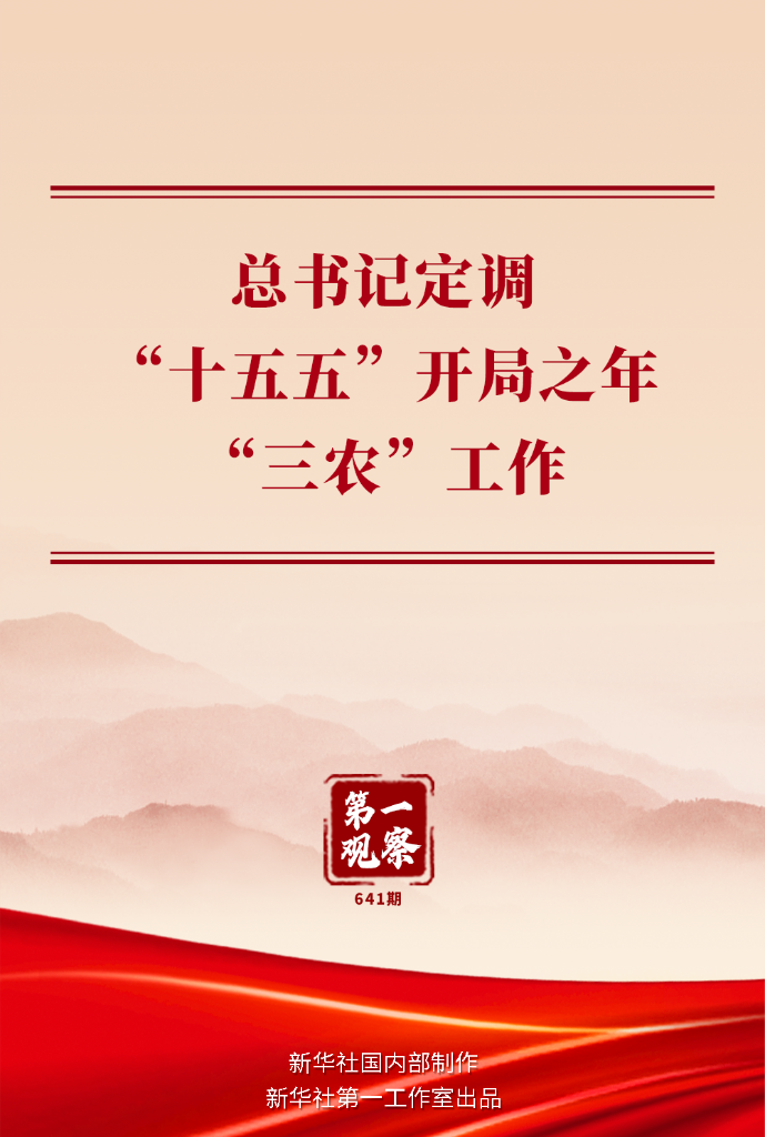 第一观察丨总书记定调“十五五”开局之年“三农”工作