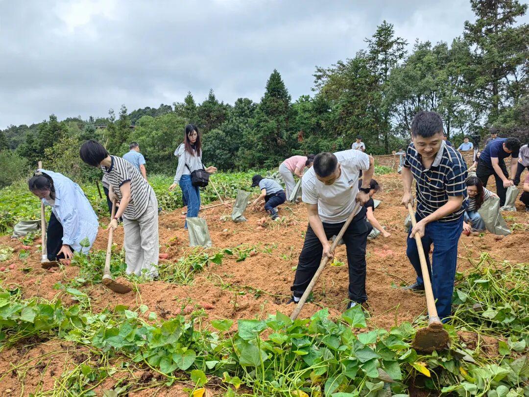 福州市政协2025年履职图鉴来啦！