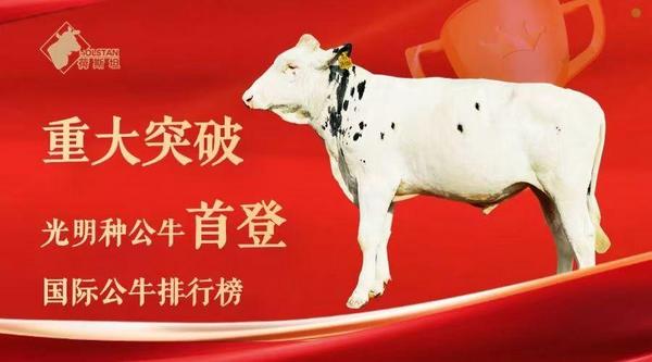 
南京脑科医院黄牛号贩子票贩子代网上预约代挂号电话跃马迎新,一路光明,光明乳业以鲜活力量开启2026新征程