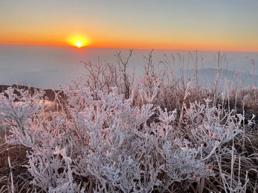 气温大跳水，最低-4℃！福建会迎来2026年的第一场雪吗？