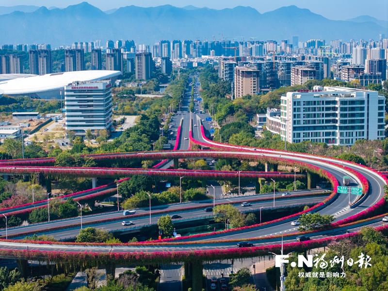 福州：绘出缤纷城色 环抱幸福生活