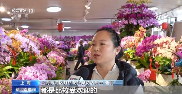 
济南市儿童医院孙晓卫赵秀侠马香窦芬芬于淑娟黄牛挂号电话节前年宵花陆续上市 龙灯迎来产销旺季