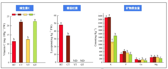 中医药大学东方医院黄牛号贩子票贩子代网上预约代挂号电话“天选减肥果”竟是它!低卡高纤还美味,多吃不怕胖