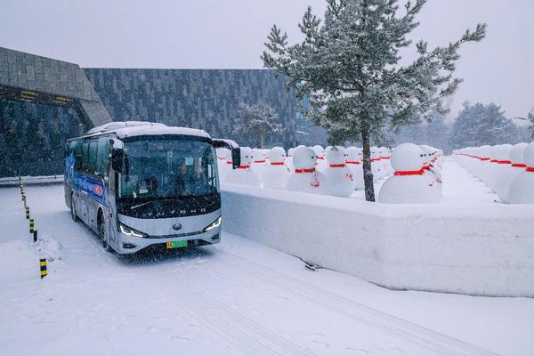 
中山大学肿瘤防治中心郭琤琤夏雯邱妙珍候雪刘寿生董军黄牛挂号电话硬核耐寒！宇通C11E成功完成长春至长白山341KM挑战