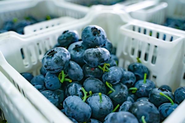 
东部战区空军医院黄牛号贩子票贩子代网上预约代挂号电话拼多多“千亿扶持”加码“2026年货节”，百亿补贴推出三大重磅补贴