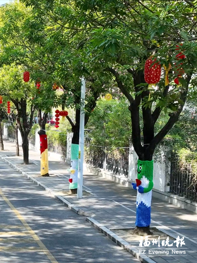 解锁城市冬日新景致 大树穿“毛衣”“玫瑰”扮街景
