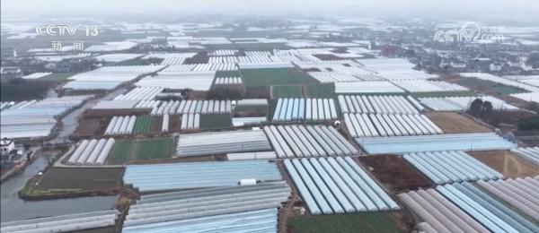 
中关村医院黄牛号贩子票贩子代网上预约代挂号电话多措并举应对寒潮低温天气 各地保障蔬菜生产守护百姓“菜篮子”