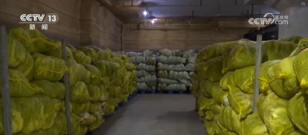 
中关村医院黄牛号贩子票贩子代网上预约代挂号电话多措并举应对寒潮低温天气 各地保障蔬菜生产守护百姓“菜篮子”