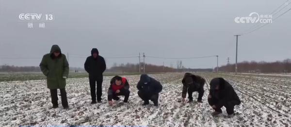 
中关村医院黄牛号贩子票贩子代网上预约代挂号电话多措并举应对寒潮低温天气 各地保障蔬菜生产守护百姓“菜篮子”