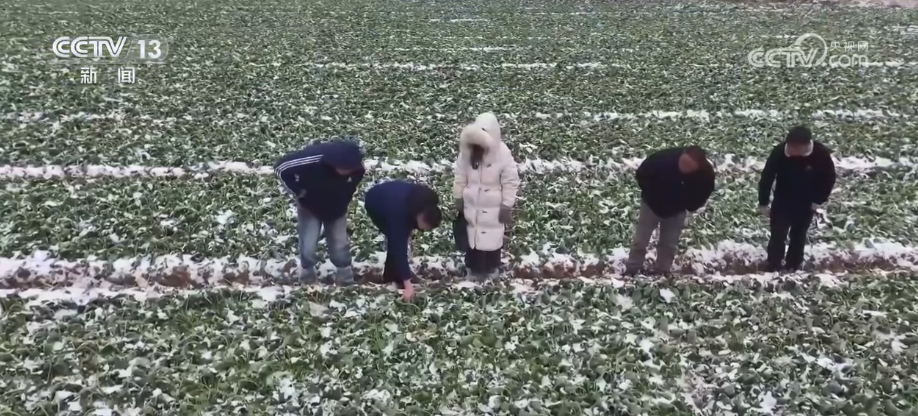 
天津中医药大学一附院黄牛号贩子票贩子代网上预约代挂号电话多部门打出精准服务“组合拳”应对低温 全力保障群众生产生活平稳有序