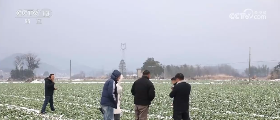 
天津中医药大学一附院黄牛号贩子票贩子代网上预约代挂号电话多部门打出精准服务“组合拳”应对低温 全力保障群众生产生活平稳有序