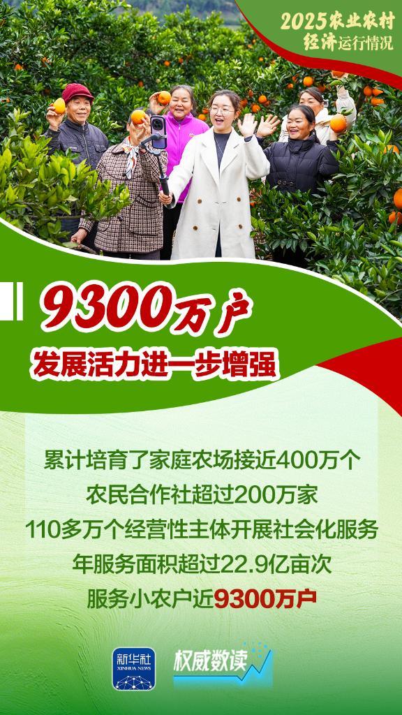 
西安市人民医院黄牛号贩子票贩子代网上预约代挂号电话权威数读｜增产、增收、增强！2025农业农村经济运行“成绩单”来了！