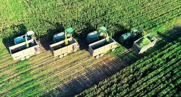 
成都医院黄牛号贩子票贩子代网上预约代挂号电话利率不超5%，累计放款1380亿！蒙牛以金融“活水”赋能全产业链共荣