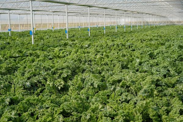 
山东中医药大学附属医院刘金昊叶青师伟王东梅刘源香杨传华齐元富周晓园朱海洪杨毅王玉明梁俊薇刘晓菲曹宏张葆青刁娟娟黄牛挂号电话喜茶低调盘点2025年度小事 差异化战略成效显著